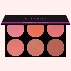 SHANY Masterpiece 6 Colors Large Blush Palette/Refill – SHE’S NOT SHY
